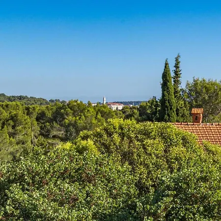Apartman Maja Pula
